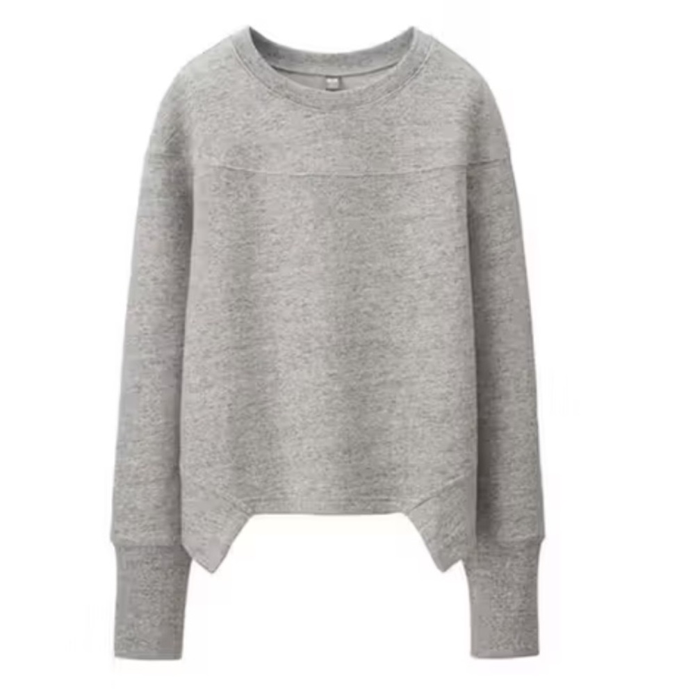 NWOT Alexandre Plokohov x Uniqlo Gray Crewneck Sweatshirt